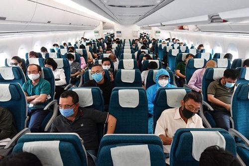 Cục Hàng không xin dỡ bỏ giãn cách ghế ngồi, tăng tần suất bay nội địa