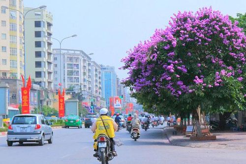 Hà Nội nắng nóng 37 độ C, chiều tối đề phòng mưa dông