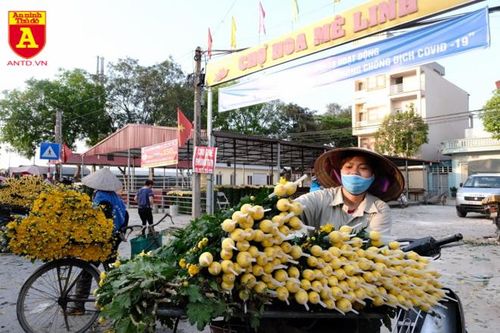 Ngày mới ở Mê Linh