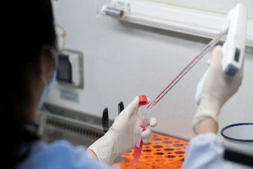 Tổng thống Trump: Mỹ sẽ công bố báo cáo rõ ràng về nguồn gốc virus SARS-CoV-2