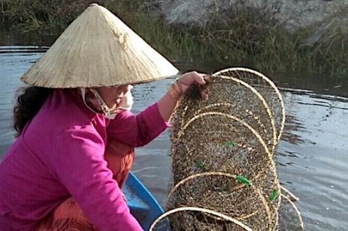 Cà Mau tập trung gỡ khó cho doanh nghiệp, khôi phục sản xuất sau dịch