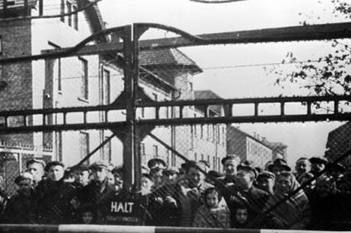 75 năm Hồng quân Liên Xô giải phóng trại Auschwitz: Những hình ảnh không thể nào quên