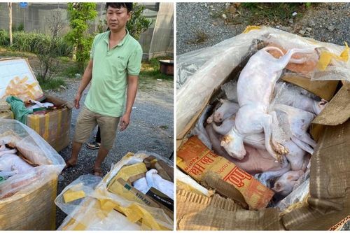 Bắt xe khách vận chuyển 630kg động vật bốc mùi hôi thối
