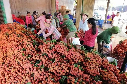 Trung Quốc thắng lớn, lo thế mạnh 6.000 tỷ của Việt Nam gặp khó