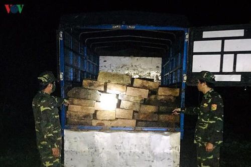 Bắt giữ xe tải chở 37 phách gỗ lậu lúc nửa đêm