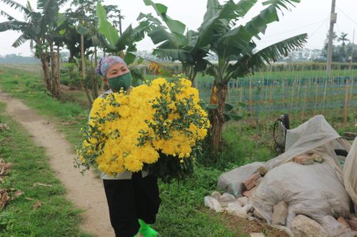 Dịch COVID-19: Mê Linh tiếp tục phòng dịch, khôi phục sản xuất