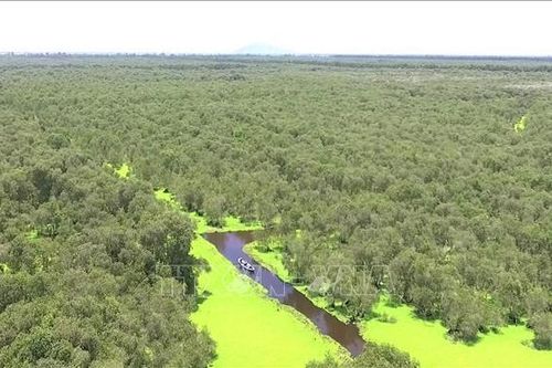 Khắc phục suy thoái đa dạng sinh học - Bài cuối: Thách thức và định hướng