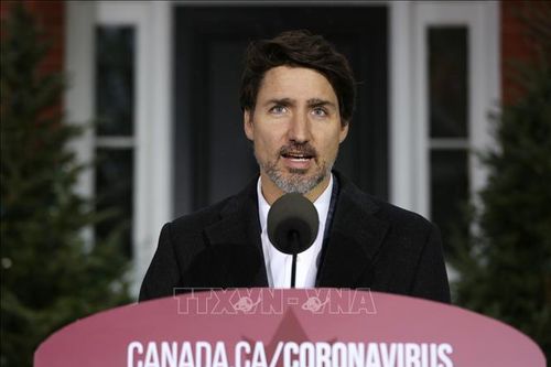Canada công bố gói 'giải cứu' ngành nông nghiệp và thực phẩm