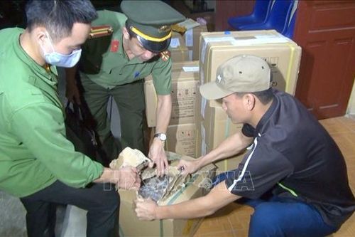 Bắt 5 đối tượng mua bán trái phép hơn 700 kg thuốc nổ