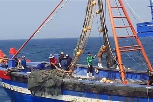 Liên tiếp bắt giữ tàu giã cào khai thác thủy sản trái phép