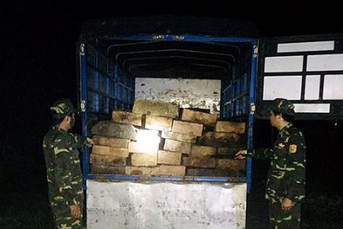 Thừa Thiên - Huế: Tạm giữ 37 phách gỗ không rõ nguồn gốc