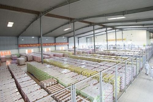 Tiết giảm chi phí sản xuất nhờ 5S