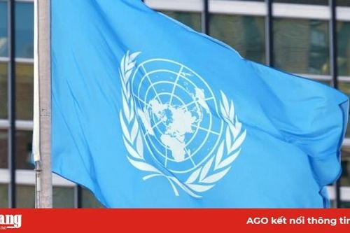 Liên hợp quốc kêu gọi bảo vệ người khuyến tật trong cuộc chiến chống Covid-19