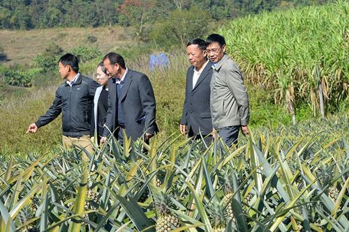 Ðổi thay trên căn cứ cách mạng Pú Nhung