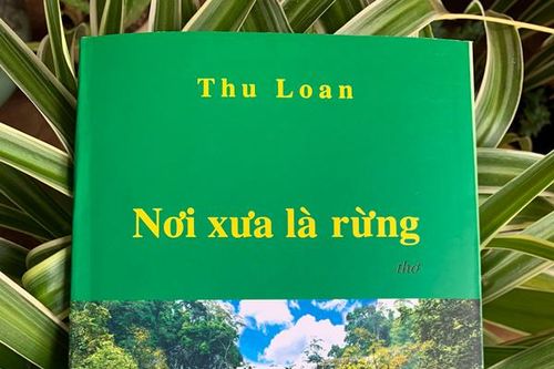 'Nơi xưa là rừng'