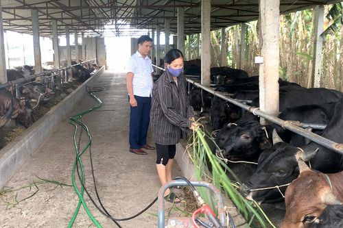 Dồn đổi ruộng đất - Chìa khóa phát triển nông nghiệp hiện đại