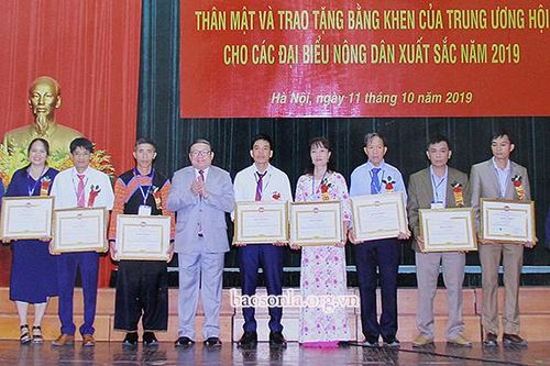 Gặp gỡ 'Nông dân Việt Nam xuất sắc' dân tộc Mông