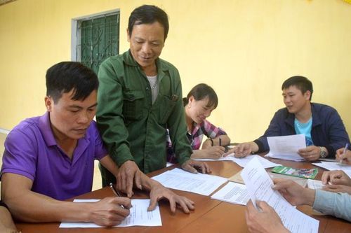 Đất cằn cho trái ngọt