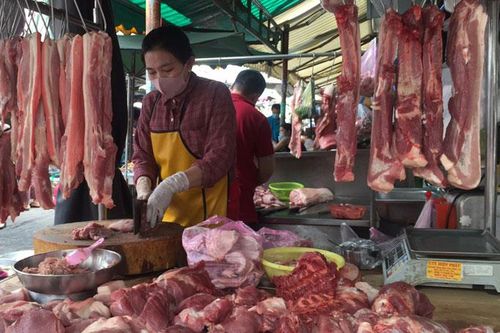 Những nguyên nhân chính khiến giá thịt lợn vẫn ở mức cao