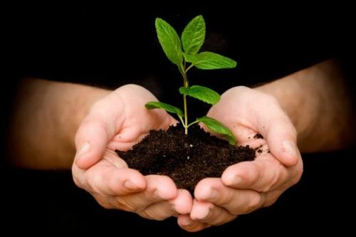 Mùa dịch bệnh: Nghĩ về luật nhân quả dưới lăng kính y học