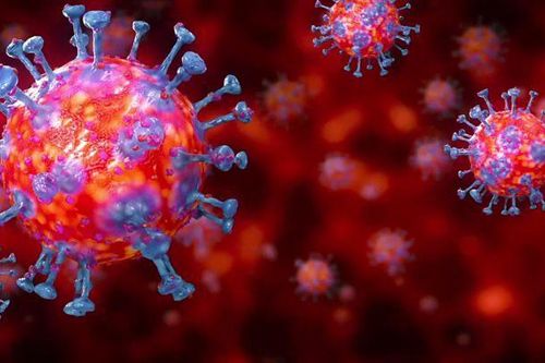 Virus corona mới đã lan nhanh khắp thế giới từ cuối năm ngoái