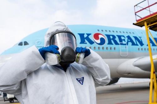 Korean Air dự định nối lại 19 tuyến bay quốc tế từ tháng 6/2020