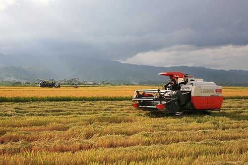 Chuyện về 'Mỗi xã một sản phẩm' ở Điện Biên