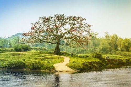 Có một sông Thương chảy vào thơ
