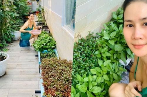 Thân Thúy Hà trồng rau sạch cạnh biệt thự