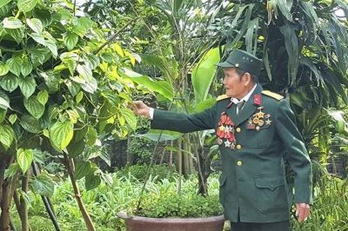 'Chủ lực quân' trong chiến dịch Điện Biên Phủ