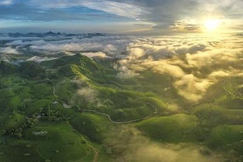 Bay trên những đồi chè Long Cốc