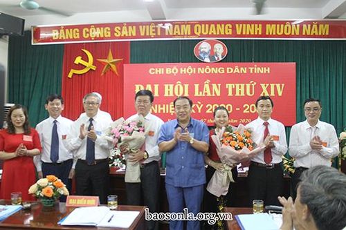 Đại hội Chi bộ Hội Nông dân tỉnh lần thứ XIV, nhiệm kỳ 2020 - 2025