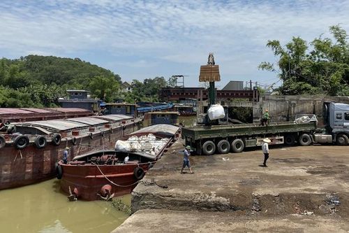 Vận tải đường thủy nội địa sôi động trở lại