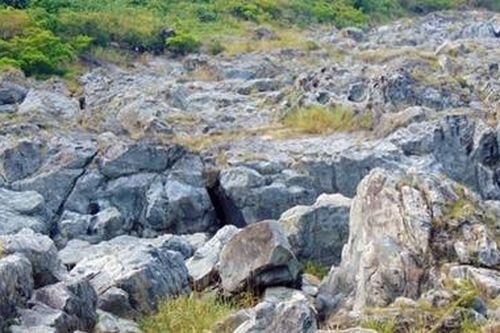 Dòng sông 'chết' dưới chân đập thủy điện Đăk Mi 4