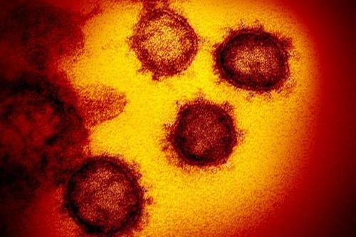 Các nhà khoa học dự đoán xuất hiện đột biến mới của virus corona khiến dịch bệnh lây lan nhanh