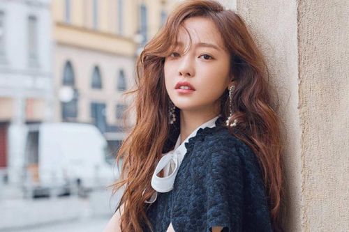 Anh trai Goo Hara tiết lộ cách sử dụng tài sản của em gái nếu giành được quyền thừa kế