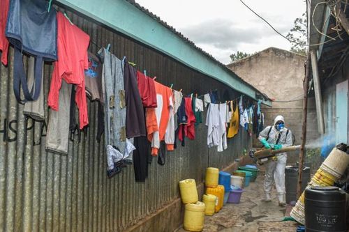 WHO: 190.000 người châu Phi có thể chết vì virus corona