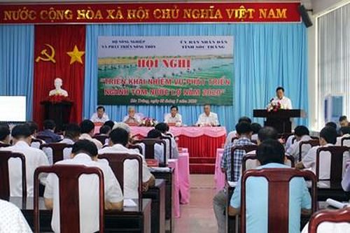 Tín hiệu lạc quan cho ngành tôm Việt Nam năm 2020