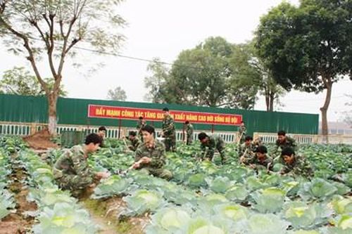 'Đột phá tăng gia, bình ổn giá cả'