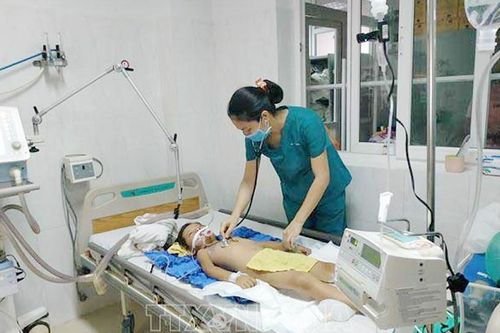 Đắk Lắk ghi nhận 2 ca mắc viêm não Nhật Bản
