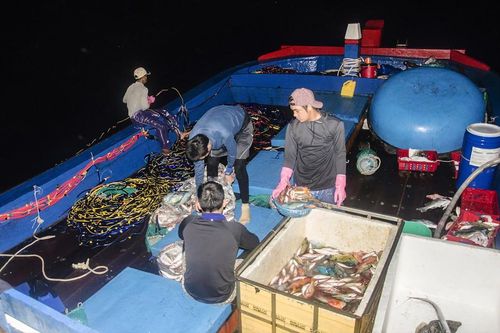 Cần ưu tiên hơn tàu bám Hoàng Sa