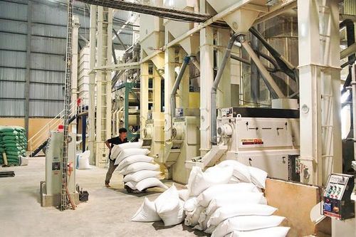Bị yêu cầu kiểm điểm trách nhiệm, lãnh đạo Tổng cục Dự trữ Nhà nước nói gì?