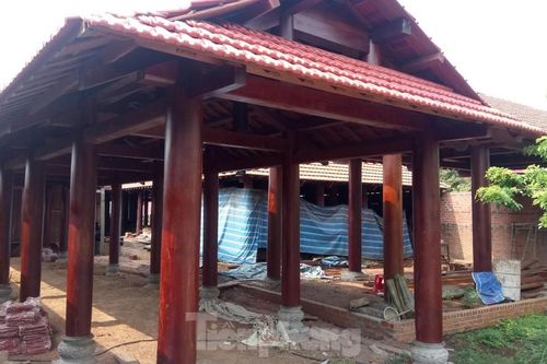 Công an điều tra 4 công ty lâm nghiệp để mất rừng quy mô lớn