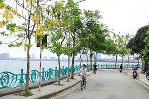 Cổ Ngư