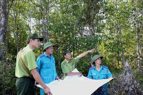 Quản lý rừng bền vững - Bài cuối: Bảo tồn và phát triển vốn rừng