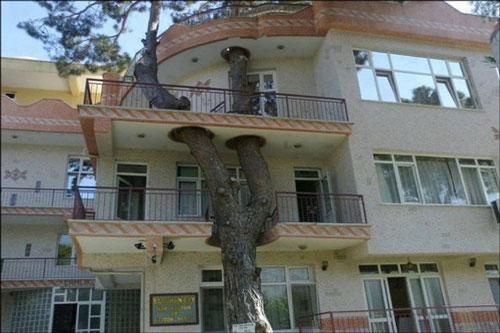 10 công trình tuyệt đẹp với thiên nhiên