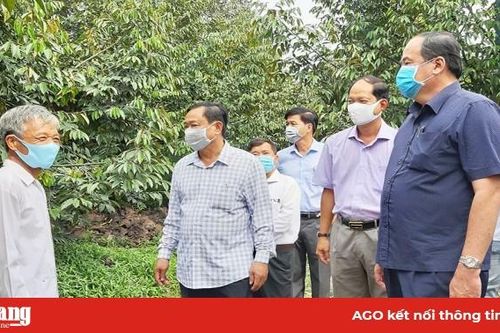 Châu Phú phát triển kinh tế từ nông nghiệp