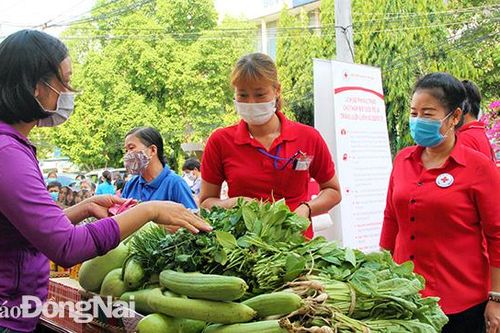 Nhiều hoạt động từ thiện trong Tháng Nhân đạo năm 2020
