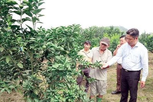 Luân chuyển cán bộ ở Yên Lập: Một giải pháp nhiều mục tiêu