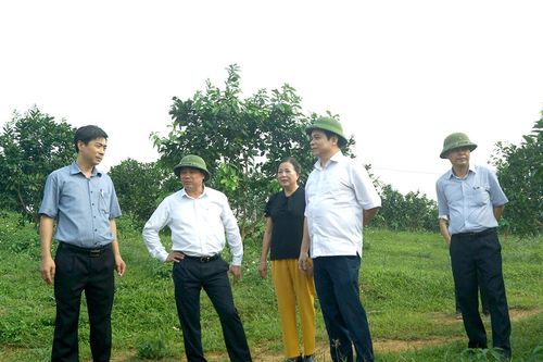 Thứ trưởng Bộ Nông nghiệp & PTNT Lê Quốc Doanh kiểm tra tình hình sản xuất nông nghiệp tại tỉnh